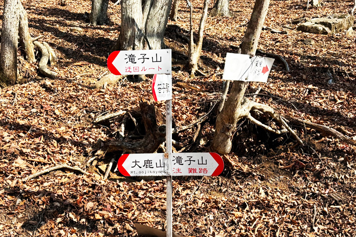滝子山登山道の分岐