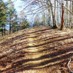 【画像】【秀麗富嶽十二景】四番山頂、滝と沢音に押されて最長のコースタイムも快適な滝子山 〜 画像1