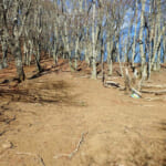 【画像】【秀麗富嶽十二景】四番山頂、滝と沢音に押されて最長のコースタイムも快適な滝子山 〜 画像1