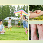【画像】リアル過ぎる“虫除けトンボくん”が子どもに大人気！　人にも環境にも優しい精巧なフィギュアで害虫を撃退 〜 画像1