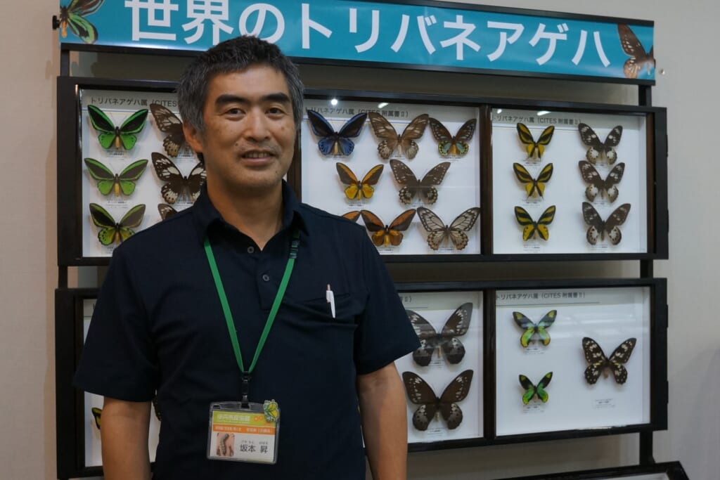 坂本昇伊丹市昆虫館館長