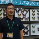 【画像】昆虫の専門家に教えてもらおう！　虫たちとの上手な付き合い方【トンボ編】 〜 画像1