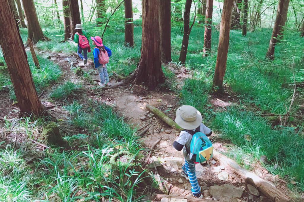 手軽に楽しめるハイキング