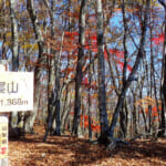 【画像】【秀麗富嶽十二景】ついでに登山のススメ！　奈良倉山のオマケで贅沢な富士山眺望をゲットの鶴寝山 〜 画像1