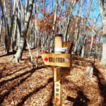 【画像】【秀麗富嶽十二景】ついでに登山のススメ！　奈良倉山のオマケで贅沢な富士山眺望をゲットの鶴寝山 〜 画像1