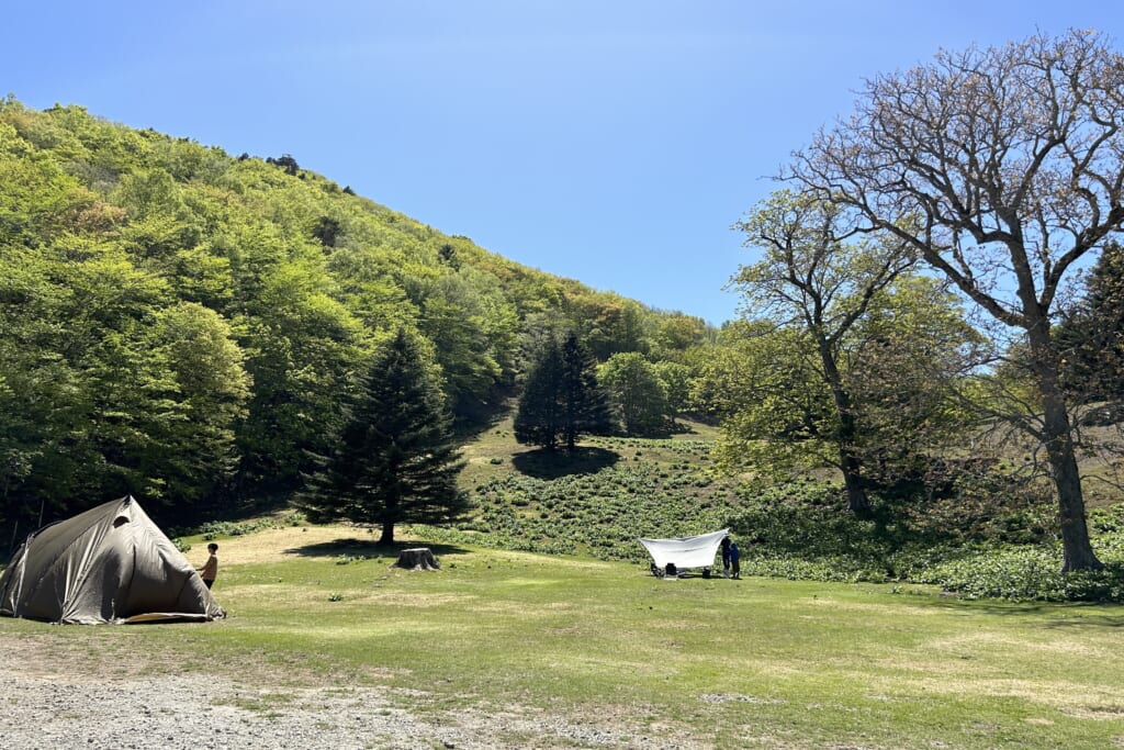 和佐又山ハイキング