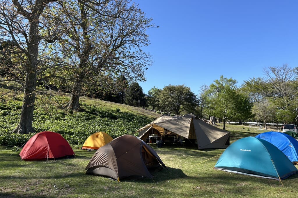 WASAMATA HUTTE