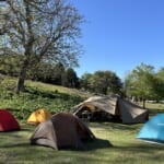 【画像】美しきブナの森に癒される！　快適キャンプと地元グルメが堪能できる「和佐又山deキャンプ＆ハイク」【前編】 〜 画像1