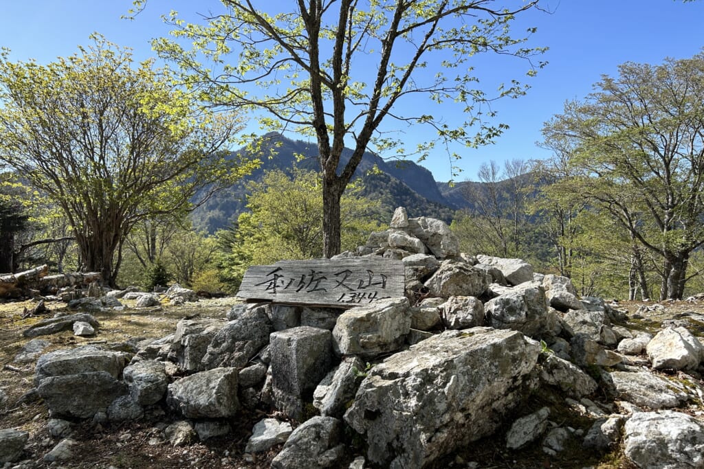 和佐又山　山頂