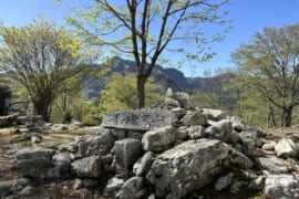 和佐又山　山頂