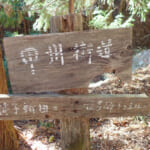 【画像】【秀麗富嶽十二景】笹子の山中に静かにたたずむ神聖なる巨木の矢立の杉 〜 画像1