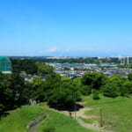 【画像】横浜最高峰の「富士山」がニュータウンに！　天空へ誘う参道階段で山頂を目指す 〜 画像1