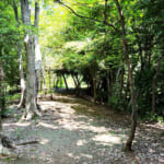 【画像】横浜最高峰の「富士山」がニュータウンに！　天空へ誘う参道階段で山頂を目指す 〜 画像1