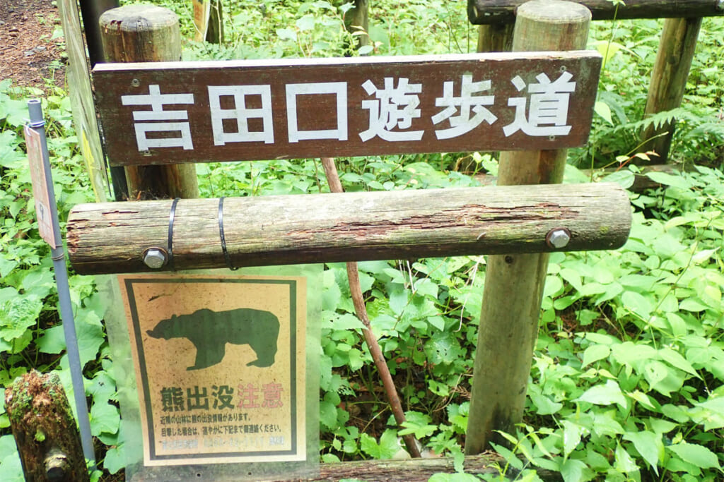 吉田口起点