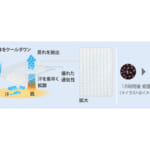 【画像】酷暑でも快適に過ごすなら「アンダーウェア」選びが大切！　通気性と速乾性が外せないアンダーウエア選びとは 〜 画像1