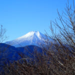 倉岳山から望む秀麗富士山