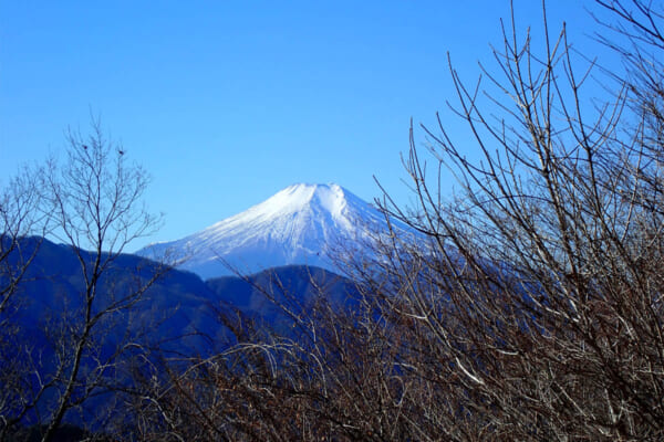 倉岳山から望む秀麗富士山