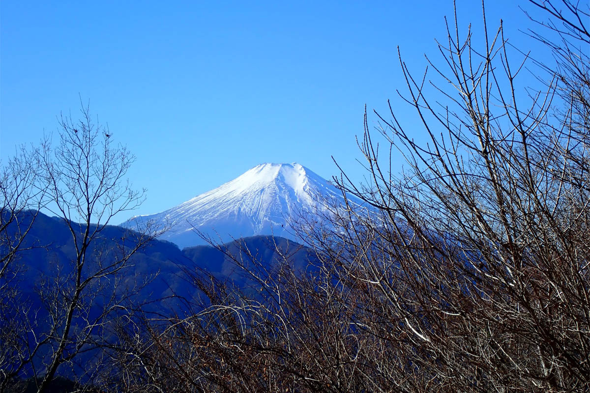 深山幽谷の趣と山頂直下の急登尾根！　地味ながらも魅力溢れる九番山頂「倉岳山登山」の醍醐味とは