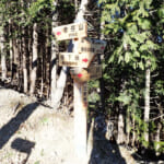 【画像】深山幽谷の趣と山頂直下の急登尾根！　地味ながらも魅力溢れる九番山頂「倉岳山登山」の醍醐味とは 〜 画像1