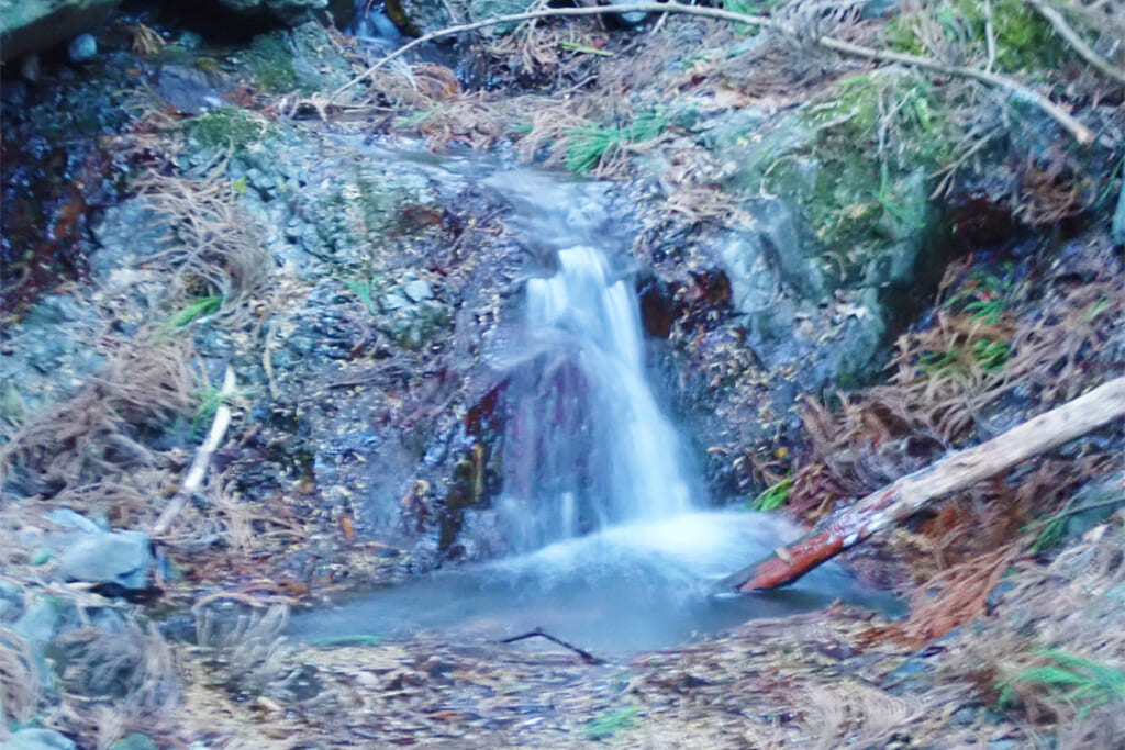 月尾根沢の清流