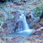 【画像】深山幽谷の趣と山頂直下の急登尾根！　地味ながらも魅力溢れる九番山頂「倉岳山登山」の醍醐味とは 〜 画像1
