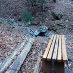 【画像】深山幽谷の趣と山頂直下の急登尾根！　地味ながらも魅力溢れる九番山頂「倉岳山登山」の醍醐味とは 〜 画像1