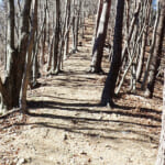【画像】深山幽谷の趣と山頂直下の急登尾根！　地味ながらも魅力溢れる九番山頂「倉岳山登山」の醍醐味とは 〜 画像1