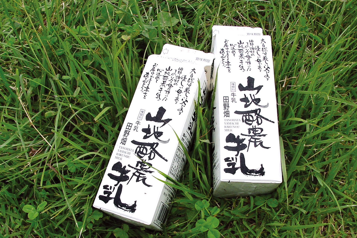 季節によって味が変化する？　野草を食べて育った牛から絞る真の牛乳「田野畑山地酪農牛乳」 産地直〝食〟なソトごはん