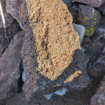 【画像】【連載コラム】「聖地ヨセミテ」に魅せられてvol.16　ソノラピークの山頂をかすめる10kmのループトレイルを満喫 〜 画像1