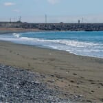 【画像】アオバトの飛来地でお宝探し？　照ヶ崎海岸で「ビーチコーミング」をやってみた 〜 画像1