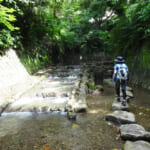 【画像】司馬遼太郎も愛した三浦半島の主峰「大楠山」！　湘南国際村を起点としたハイキングを満喫 〜 画像1
