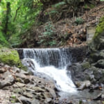 【画像】司馬遼太郎も愛した三浦半島の主峰「大楠山」！　湘南国際村を起点としたハイキングを満喫 〜 画像1