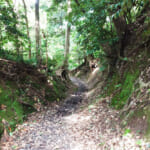 【画像】司馬遼太郎も愛した三浦半島の主峰「大楠山」！　湘南国際村を起点としたハイキングを満喫 〜 画像1