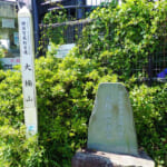 【画像】司馬遼太郎も愛した三浦半島の主峰「大楠山」！　湘南国際村を起点としたハイキングを満喫 〜 画像1
