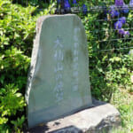 【画像】司馬遼太郎も愛した三浦半島の主峰「大楠山」！　湘南国際村を起点としたハイキングを満喫 〜 画像1