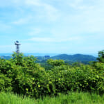 【画像】司馬遼太郎も愛した三浦半島の主峰「大楠山」！　湘南国際村を起点としたハイキングを満喫 〜 画像1