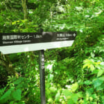 【画像】司馬遼太郎も愛した三浦半島の主峰「大楠山」！　湘南国際村を起点としたハイキングを満喫 〜 画像1