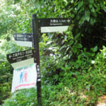 【画像】司馬遼太郎も愛した三浦半島の主峰「大楠山」！　湘南国際村を起点としたハイキングを満喫 〜 画像1