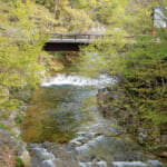 【画像】バスケもサッカーも！　広い敷地でスポーツが楽しめる福島のキャンプ場3選【東北エリア】 〜 画像1
