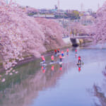 いまや定番人気の水上アクティビティ！ 大人気「SUP」の遊び方と