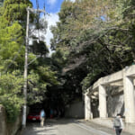【画像】芥川賞受賞作『バリ山行』で描かれる登山ルート！　小説とともにたどる「六甲山のテッパン登山コース」を歩く 〜 画像1