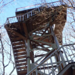 【画像】アフター登山は「クリスマス」イルミネーションがお出迎え！　冬登山で彩りを魅せる仏果山と宮ヶ瀬を巡る 〜 画像1