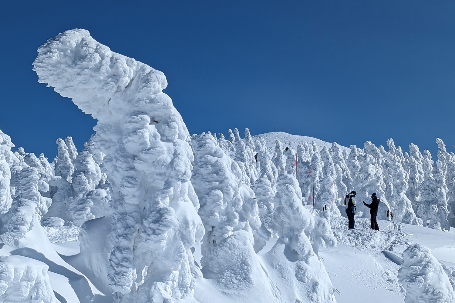 日本は世界でも希少な樹氷スポット！ 一度は見ておきたい冬の絶景