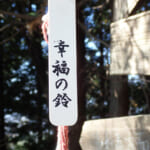 【画像】低山と侮るなかれ！　地元ハイカーに愛される吾妻山ハイクは岩場ありロープ場ありのプチスリリングな山行だった 〜 画像1