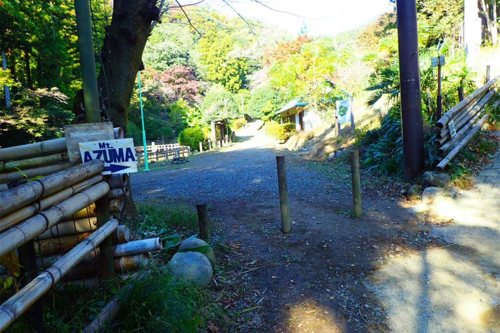 吾妻公園に散策