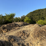 【画像】鉄人の足元からネコの山へ！　夜景を楽しむトワイライトハイキングを満喫 〜 画像1