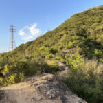 【画像】鉄人の足元からネコの山へ！　夜景を楽しむトワイライトハイキングを満喫 〜 画像1