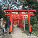 【画像】鉄人の足元からネコの山へ！　夜景を楽しむトワイライトハイキングを満喫 〜 画像1