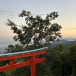 【画像】鉄人の足元からネコの山へ！　夜景を楽しむトワイライトハイキングを満喫 〜 画像1