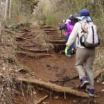 【画像】たとえ低山でもスニーカーはNG！　用途に合った正しいトレッキングシューズの選び方とは 〜 画像1